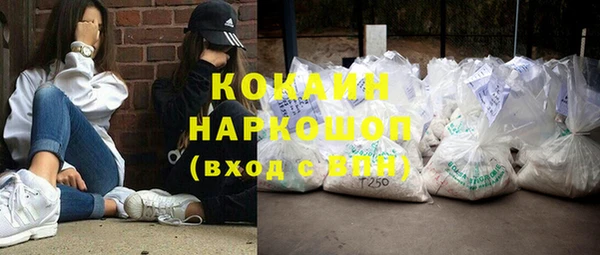 шишки Абинск